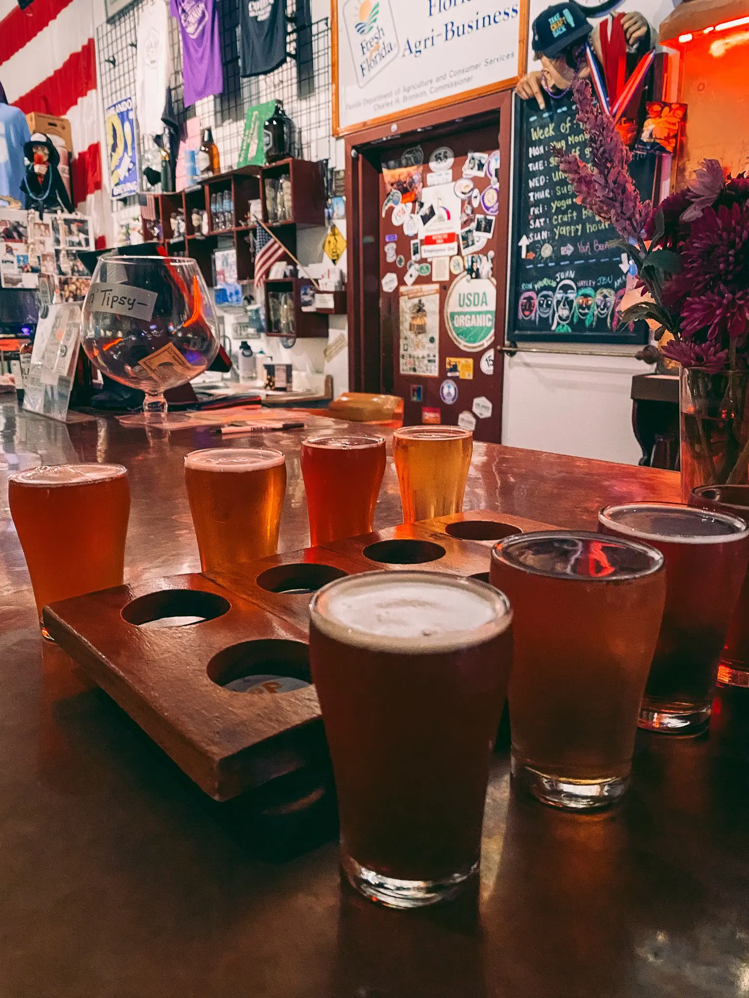 Orlando Brewing - Orlando Craft Beer Guide by Cats & Coffee4-min - Cats & Coffee Orlando Brewing