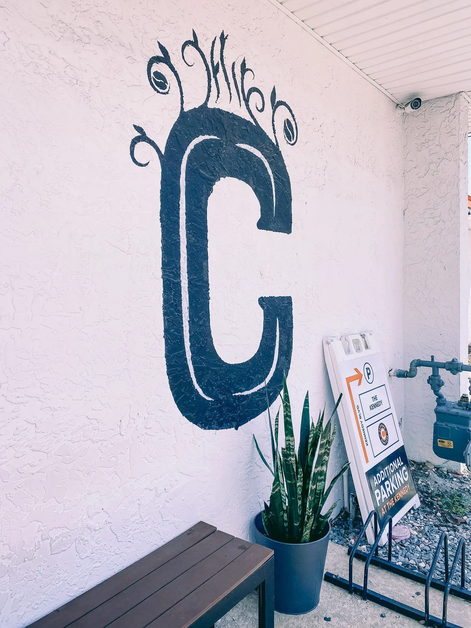 Tampa Coffee Shops - Guide by Cats & Coffee5-min - Cats & Coffee