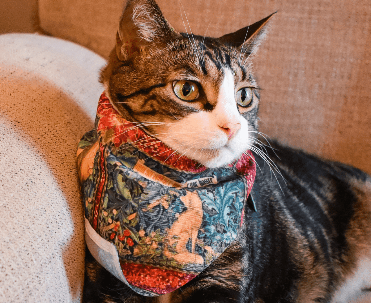 Redbubble has long been a favorite purchase from and to support independent artists. In the past, I've bought prints, stickers, and other gifts from the website, always pleased with the quality. Now, though, I am excited to share that the website has a new offering: Redbubble Pet Supplies!