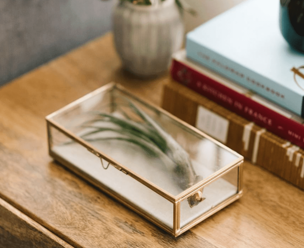 Terrace Golden Glass Shadow Boxes