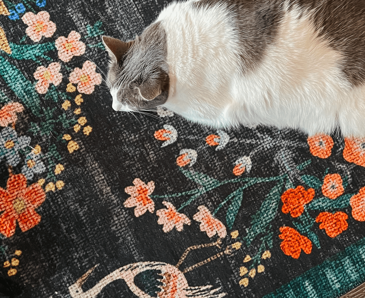 Rifle Paper Co Rug2 - Cats & Coffee Rifle Paper Co Rug