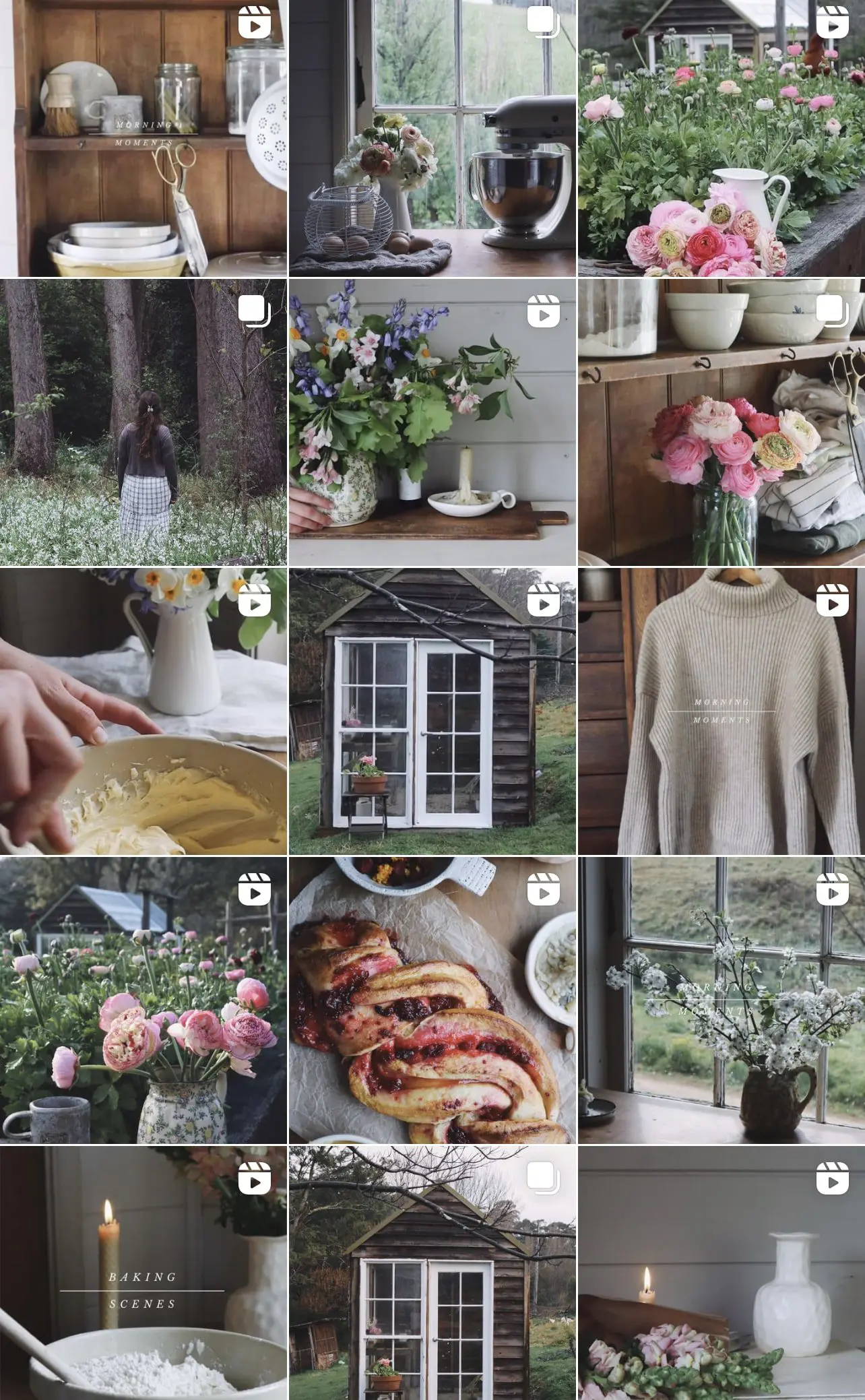 Instagram Account @momentsbyjemma - Cats & Coffee Instagram Account @momentsbyjemma