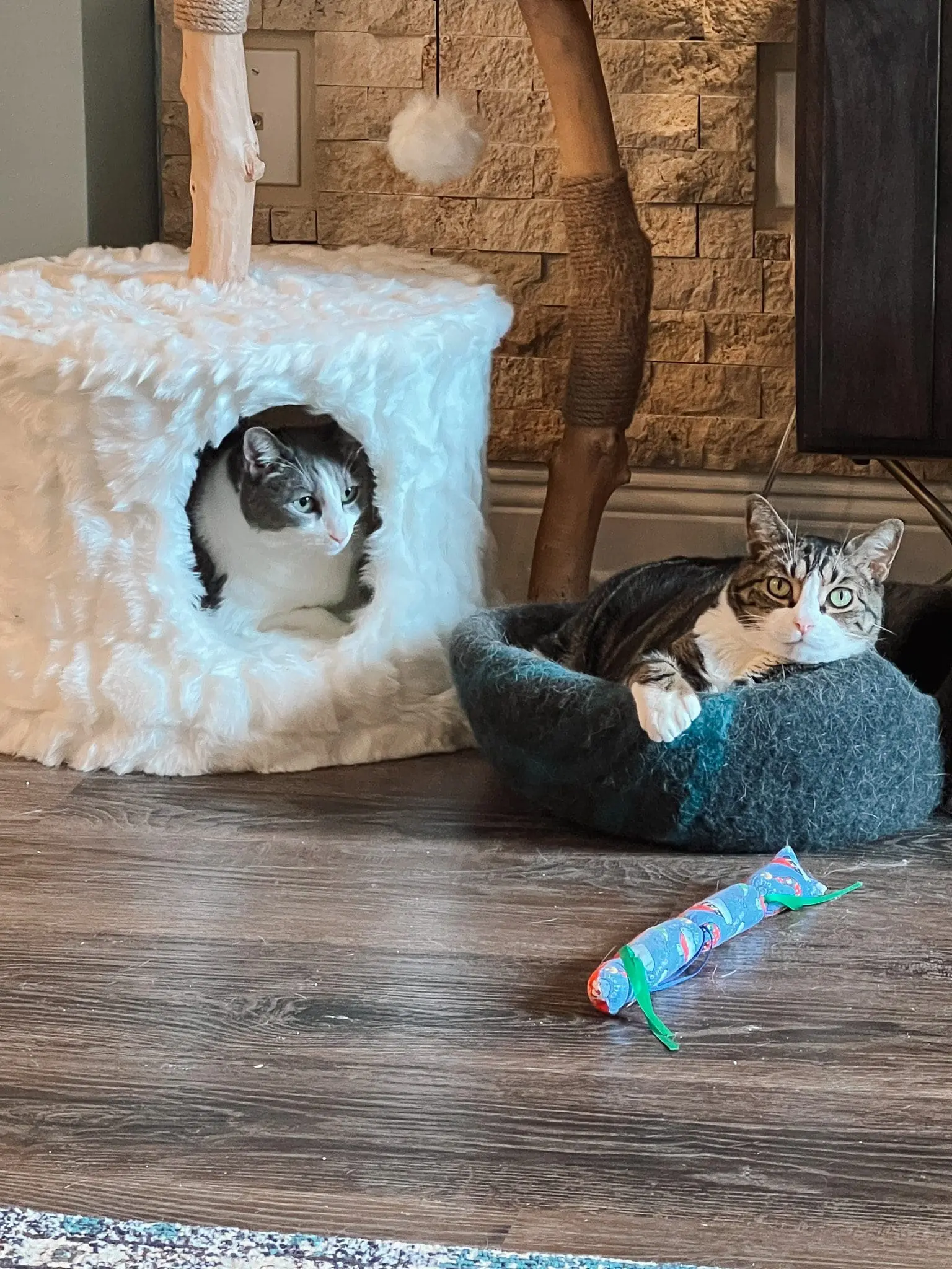 Cento Cat Tree3 - Cats & Coffee Mau Pets Cat Tree Review