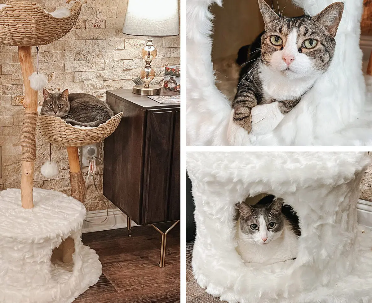 Mau Pets Cat Tree