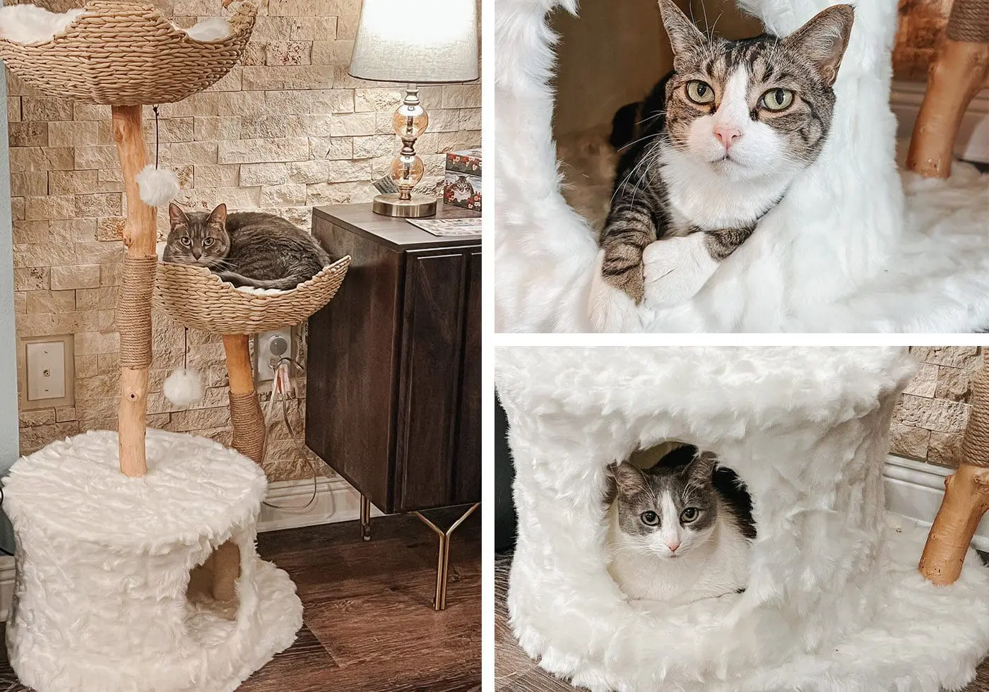 Mau Pets Cat Tree - Cats & Coffee Mau Pets Cat Tree
