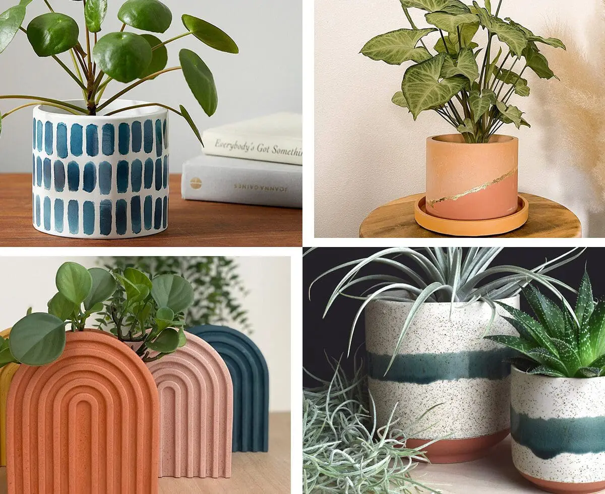 Ceramic and Concrete Planters Pots CP - Cats & Coffee Ceramic and Concrete Planters Pots