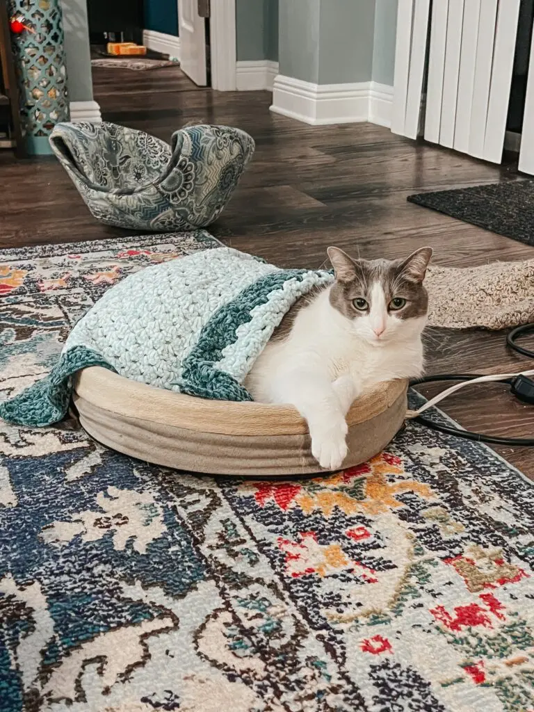 Heated Cat Bed 3-min - Cats & Coffee