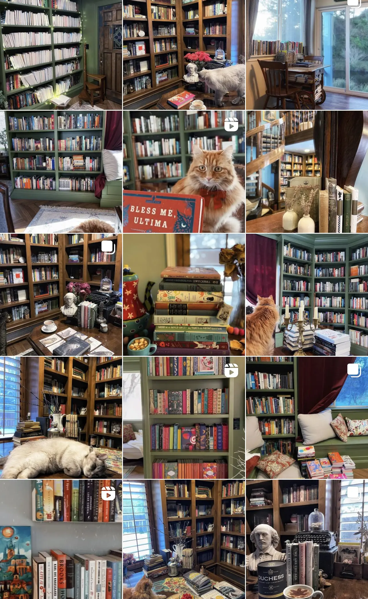 Hot Coco Reads - Cats & Coffee Hot Coco Reads book themed instagram account