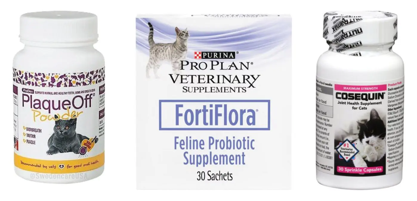 My Monthly Chewy Order Supplements - Cats & Coffee Cat Health Supplements