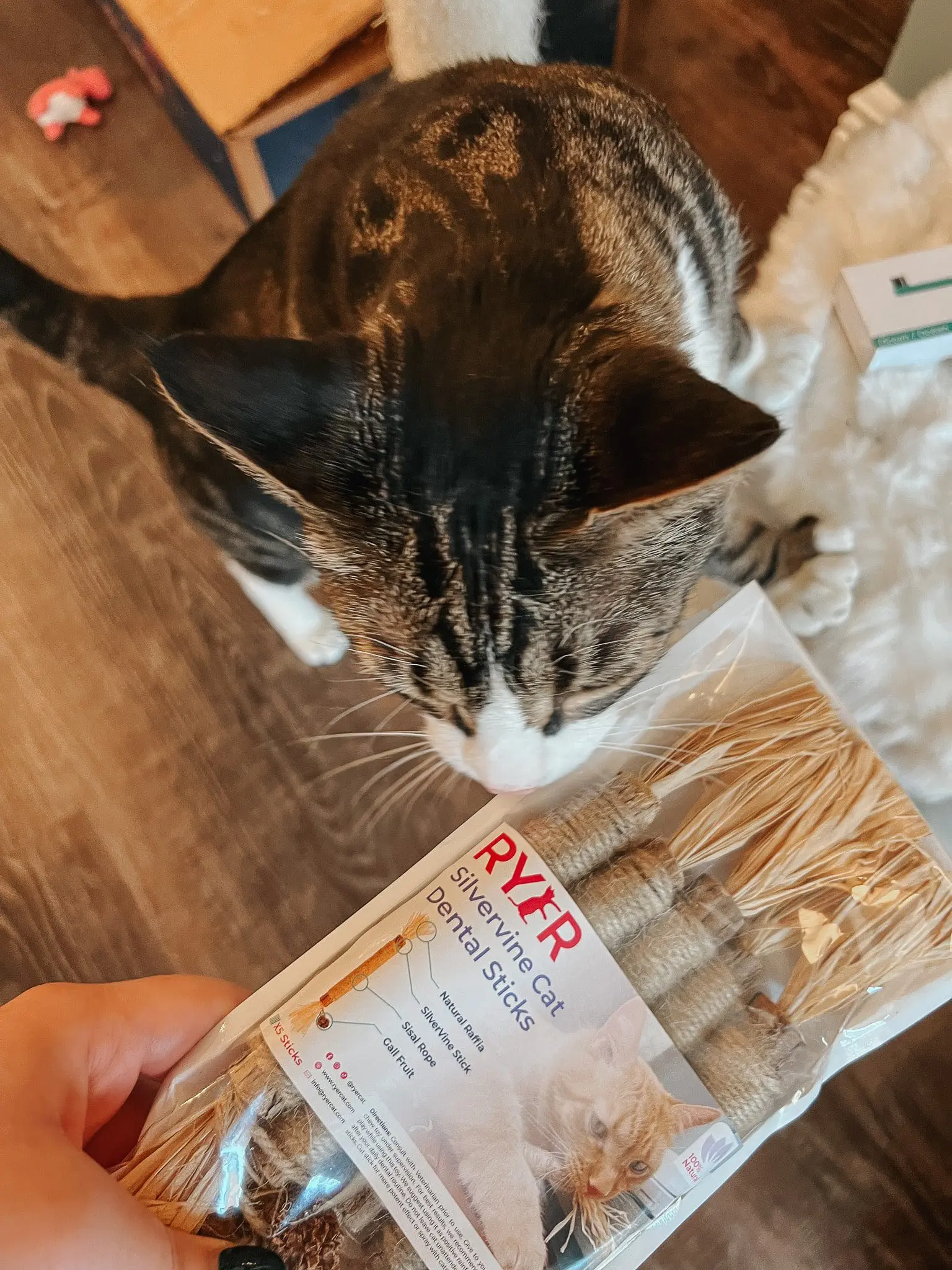 RYERCAT Silvervine Cat Dental Sticks 1 - Cats & Coffee RYERCAT Silvervine Cat Dental Sticks