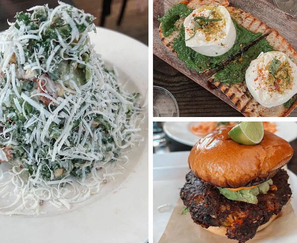 Tampa City Guide On Swann CP - Cats & Coffee On Swann, Hyde Park Village