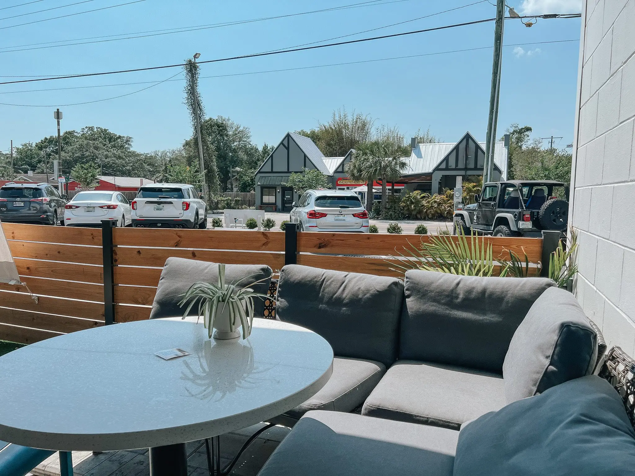 Common Dialect Brewery in Seminole Heights 7 - Cats & Coffee The Independent Bar and Cafe in Seminole Heights Tampa