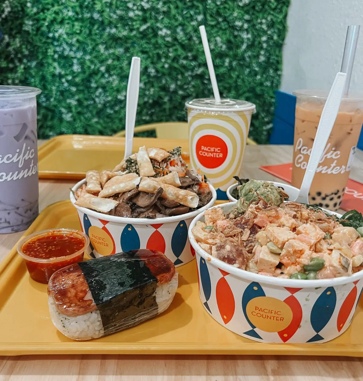 Pacific Counter: Fresh Fusion Food in Tampa 21 - Cats & Coffee Pacific Counter: Fresh Fusion Food in South Tampa