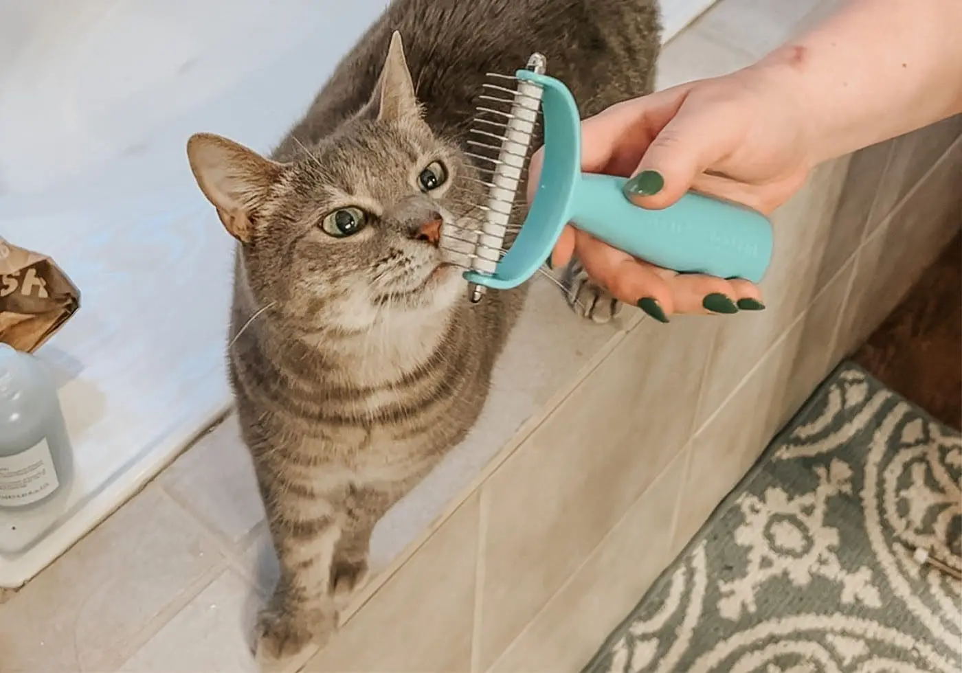Uproot Clean Deshedder Tool Brush CP - Cats & Coffee Read on for more insights into why this is a must-have for your furbaby!