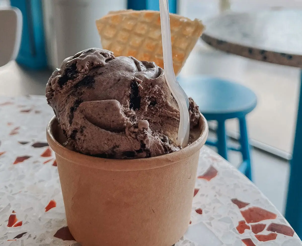 Chill Bros. Scoop Shop- Local, Handmade Florida Ice Cream - Double Down Oreo - Cats & Coffee Chill Bros. Scoop Shop- Local, Handmade Florida Ice Cream - Double Down Oreo