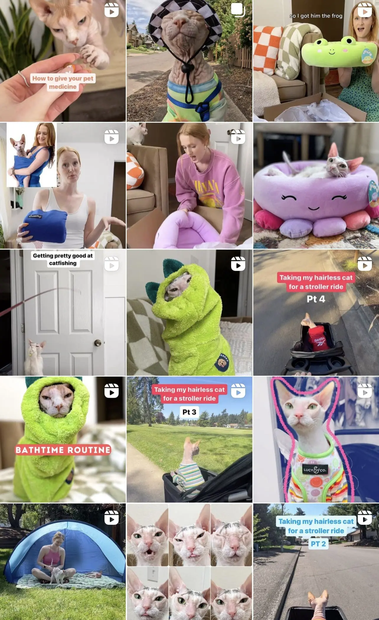 Instagram Account @roswellandleela - Cats & Coffee Instagram Account @roswellandleela