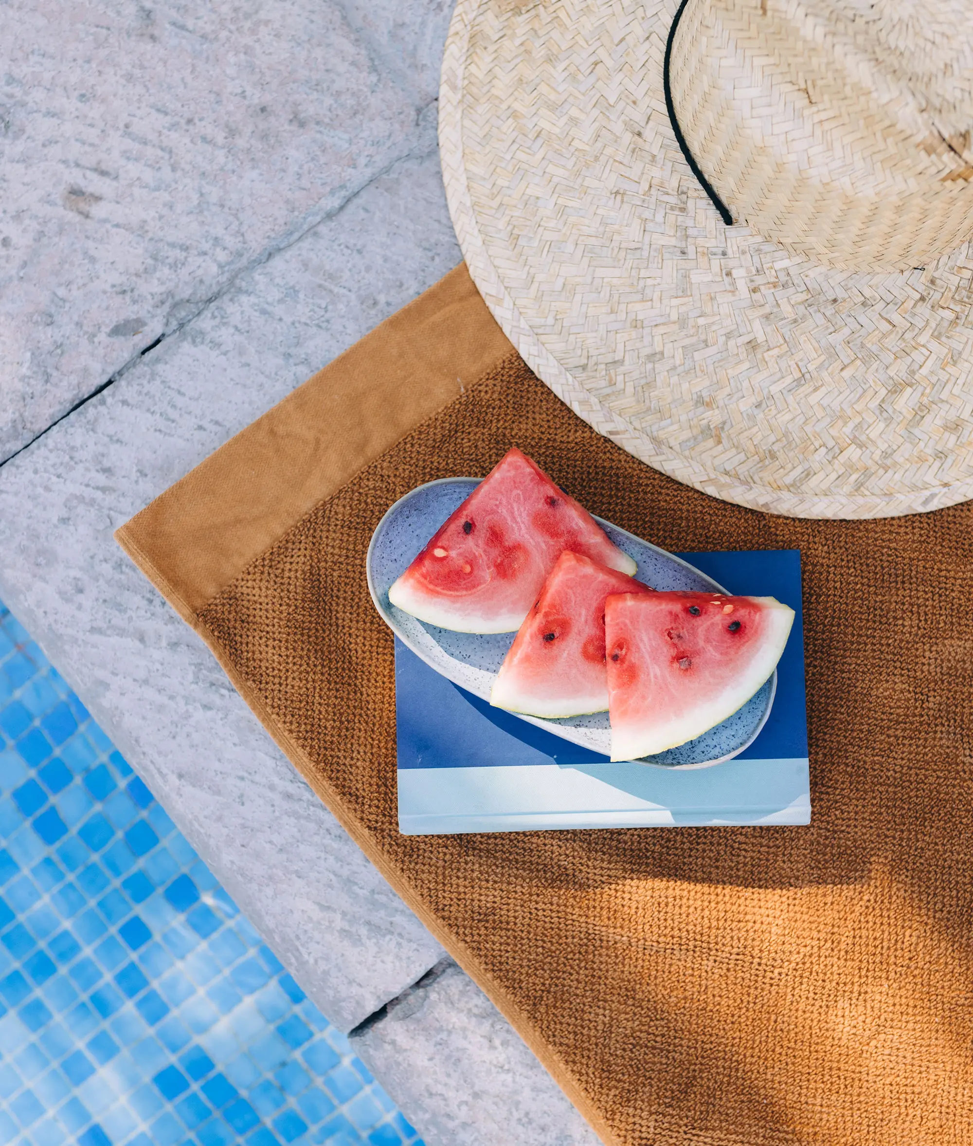 SPLASH OF SUMMER - Cats & Coffee Great Books to Read in the Summer