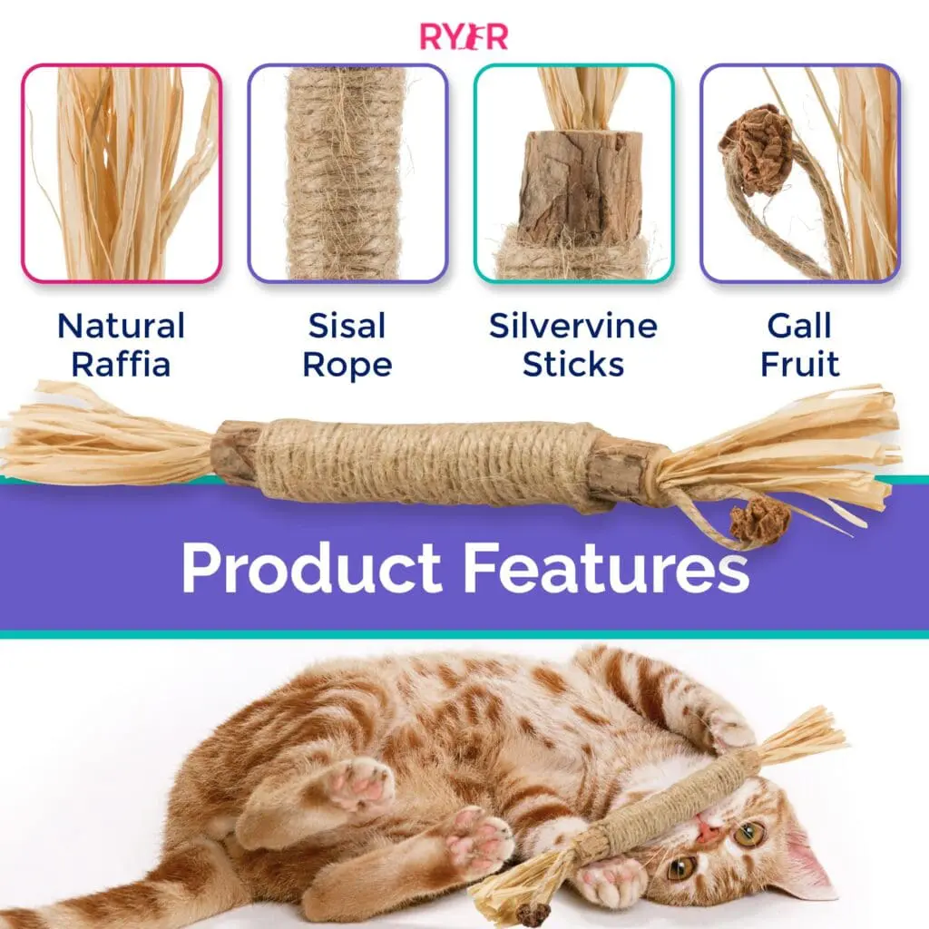 Trying Out Ryercat's Silvervine Cat Dental Sticks 1 - Cats & Coffee