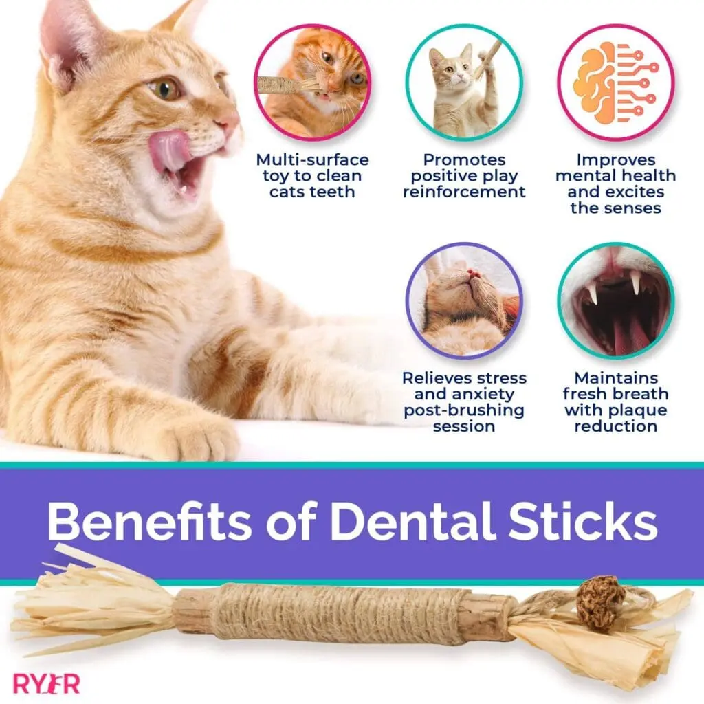 Trying Out Ryercat's Silvervine Cat Dental Sticks 2 - Cats & Coffee