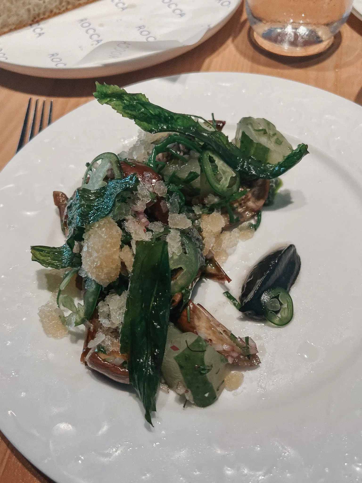 Rocca Tampa 8-min - Cats & Coffee Eggplant and cucumber starter from Rocca