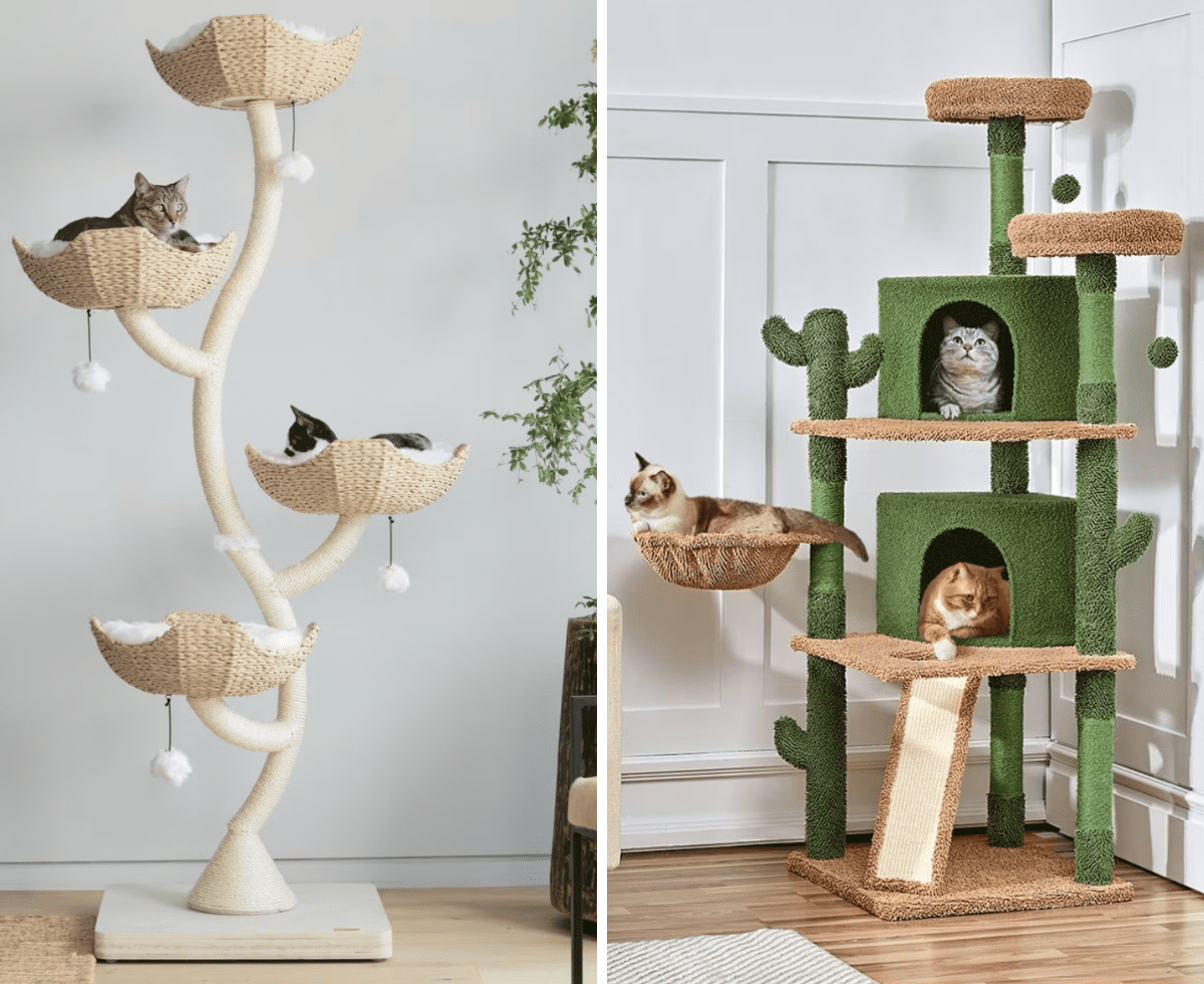 Top Cat Trees for Cats Kittens