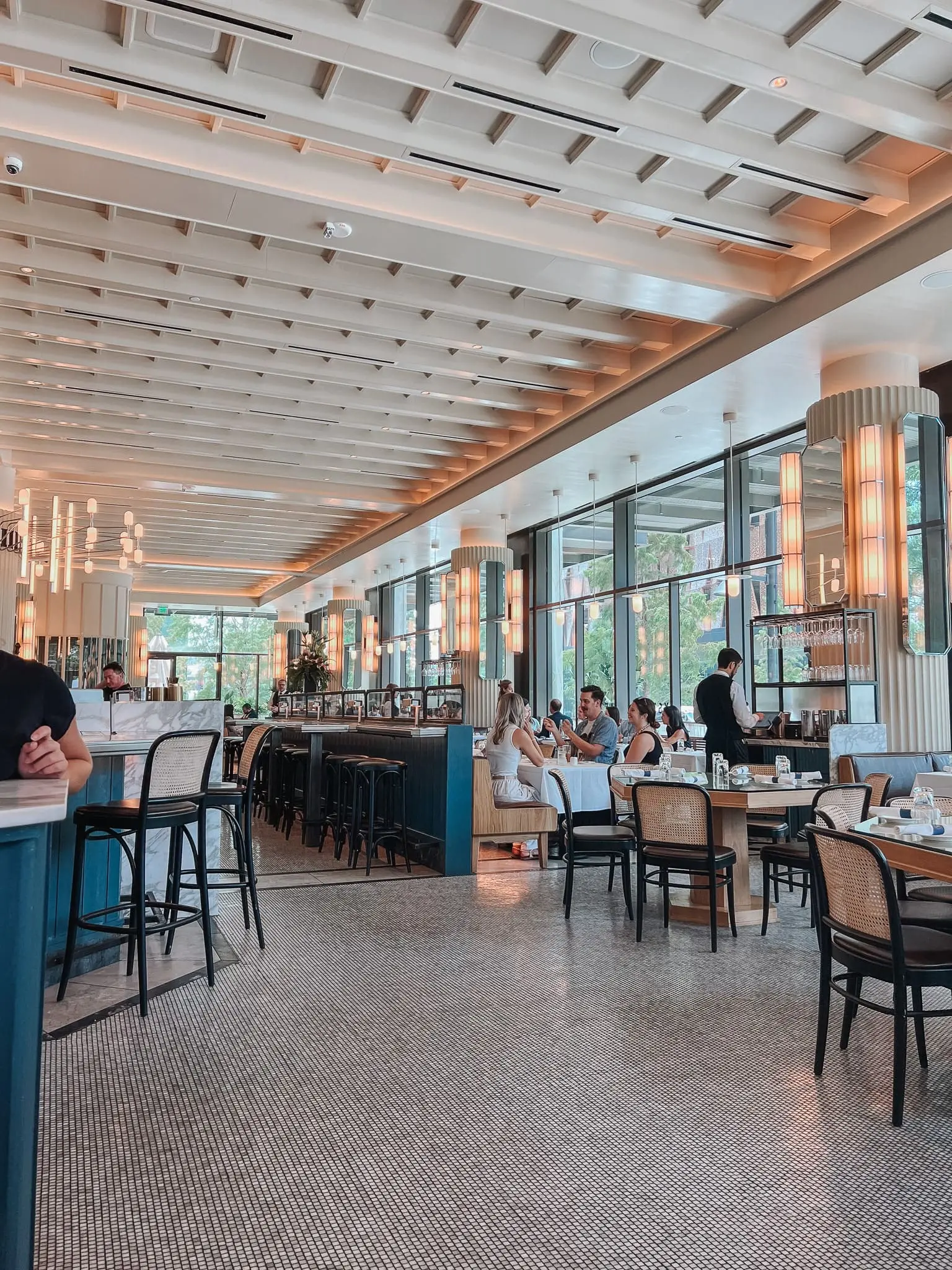 Boulon Brasserie & Bakery 2 - Cats & Coffee Boulon Brasserie & Bakery in Tampa, Florida