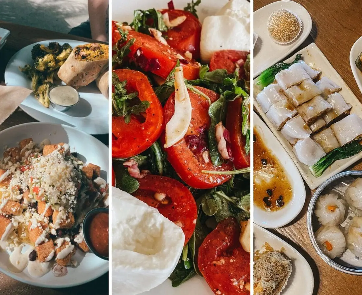 The Best Restaurants in South Tampa 1 - Cats & Coffee The Best Restaurants in South Tampa