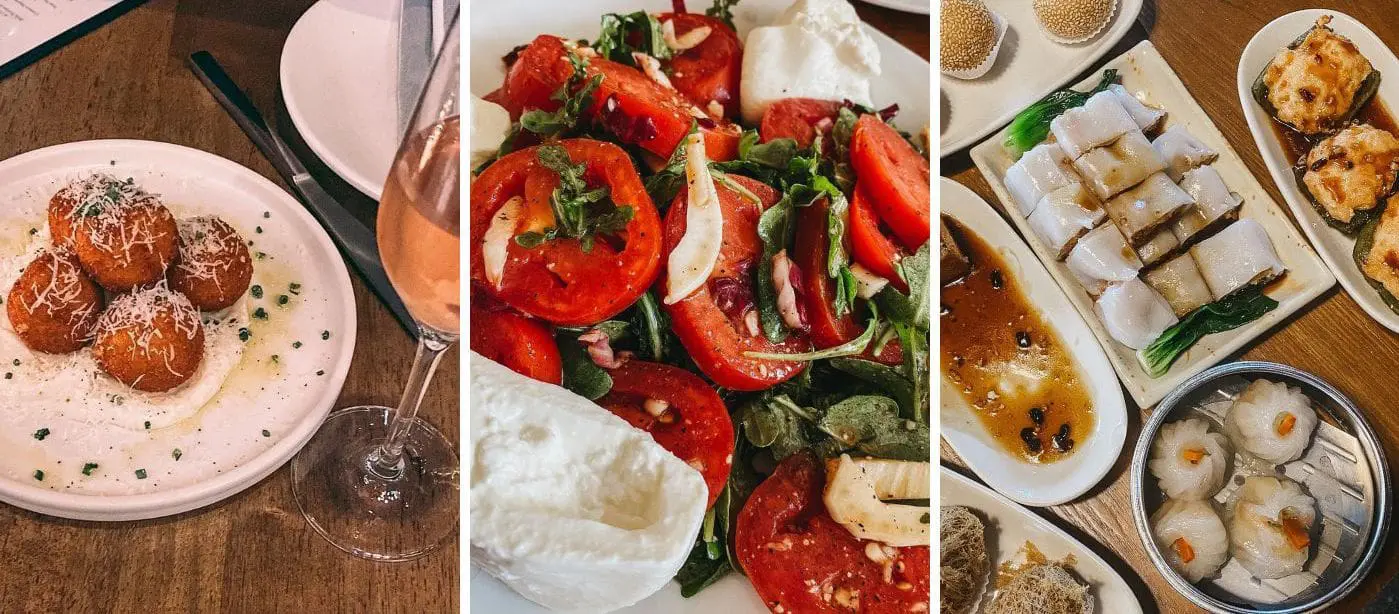 The Best Restaurants in South Tampa - Cats & Coffee The Best Restaurants in South Tampa