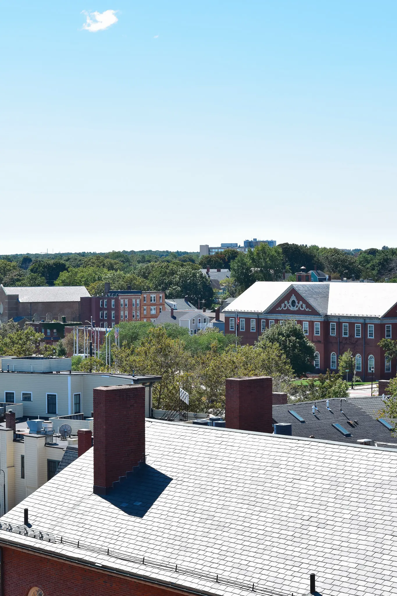 A Witchy Bachelorette Getaway: 48 Hours in Salem, Massachusetts 11 - Cats & Coffee Rooftop bar in Salem, Massachusetts