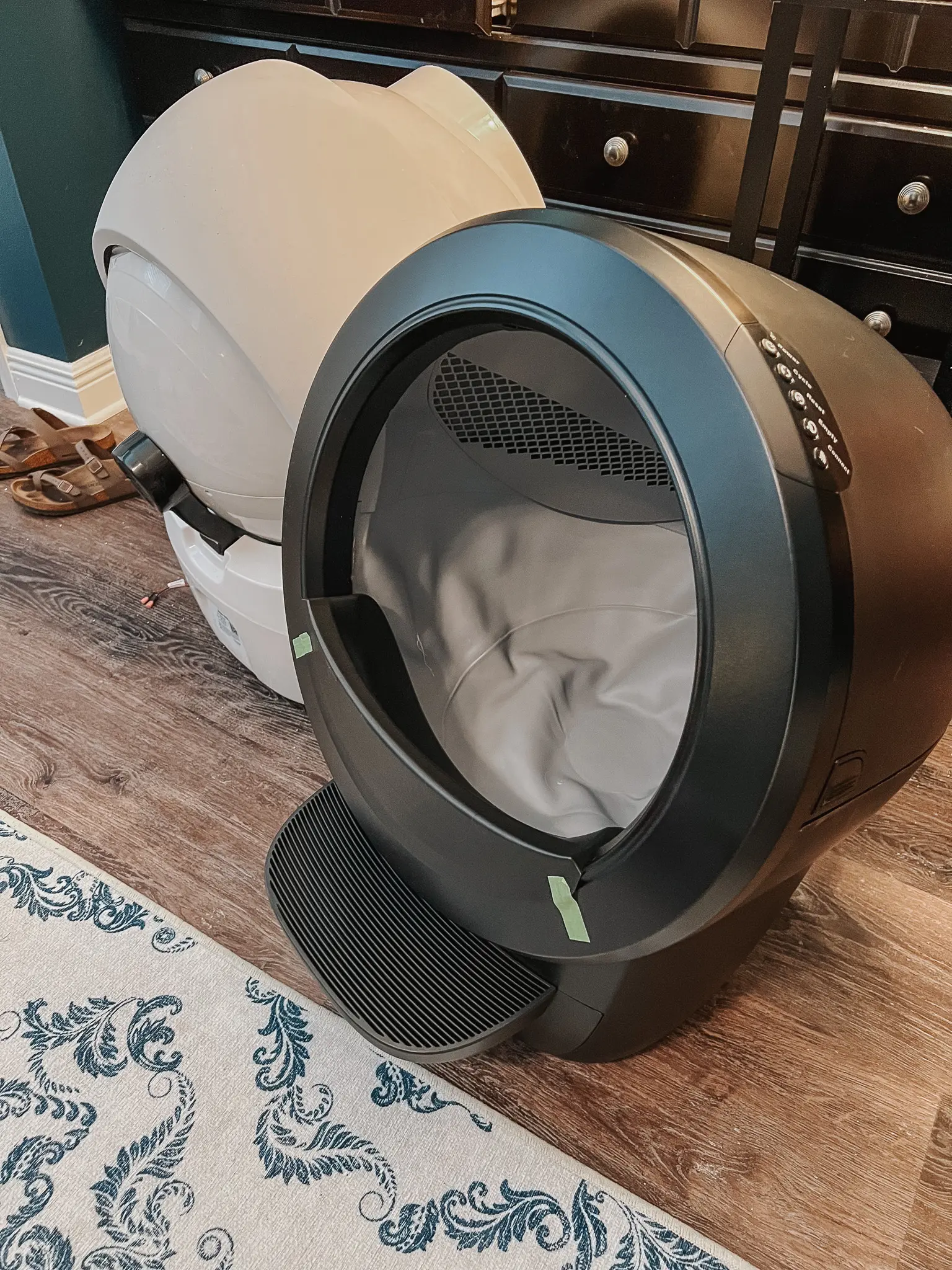 Litter-Robot 4 2 - Cats & Coffee The Litter-Robot 4: The Best Automatic Cat Litter Box