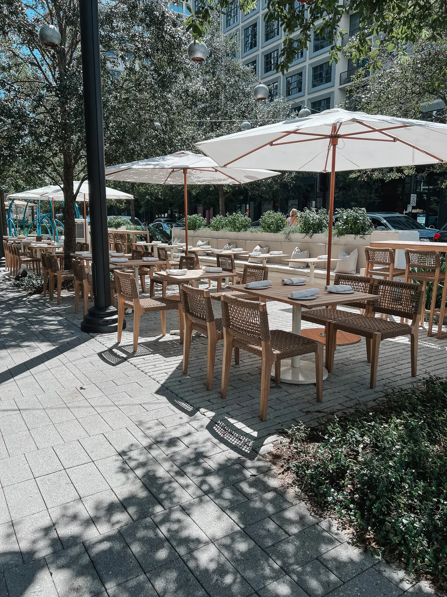Predalina Seafood & Mediterranean Restaurant in Tampa 16 - Cats & Coffee Predalina Seafood-Driven Mediterranean Cuisine on Tampa's Water Street