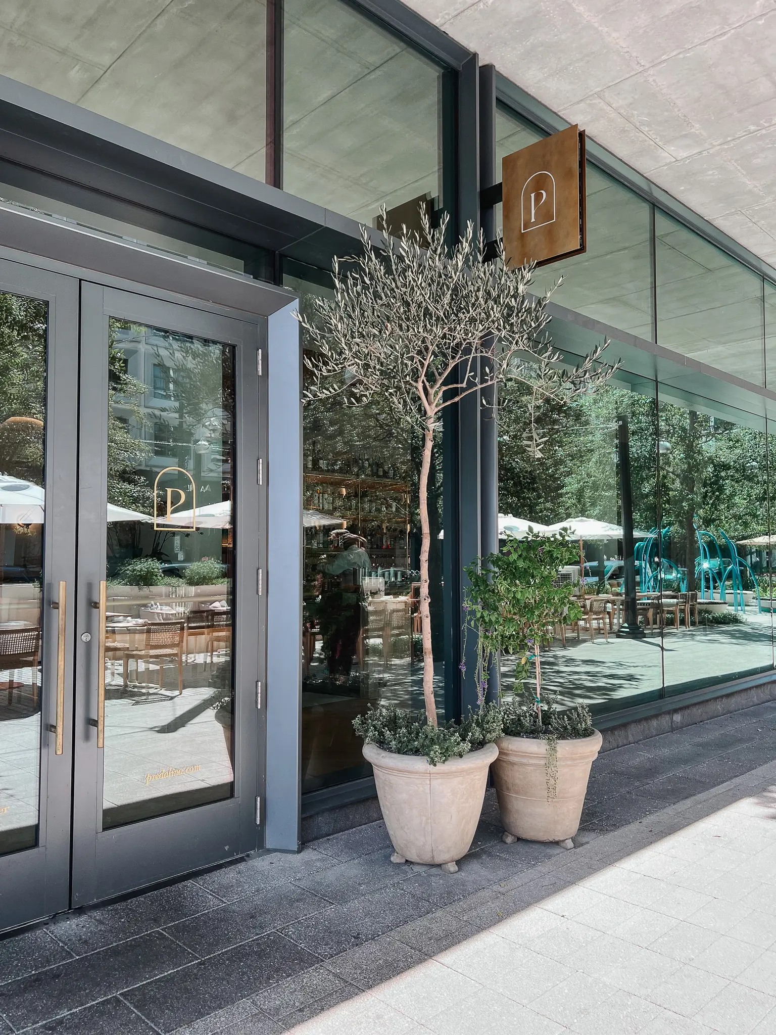Predalina Seafood & Mediterranean Restaurant in Tampa 17 - Cats & Coffee Predalina Seafood-Driven Mediterranean Cuisine on Tampa's Water Street