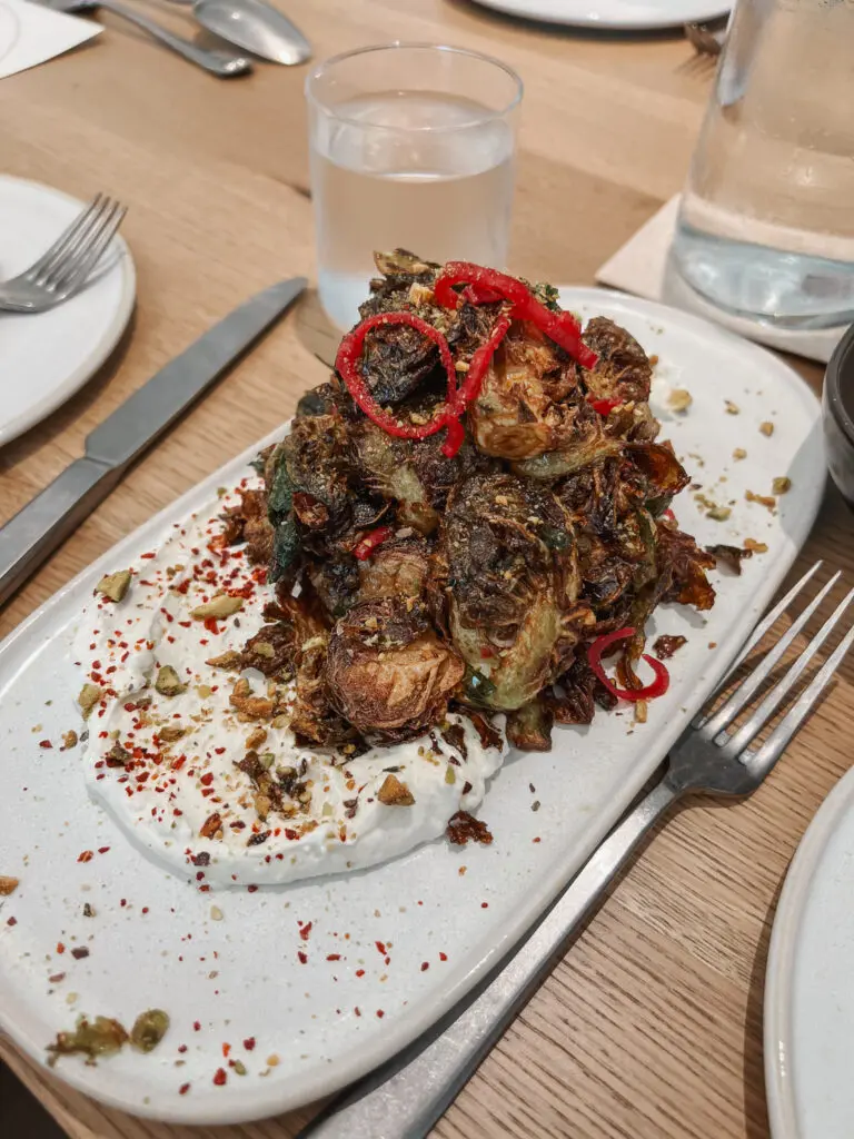 Predalina Seafood & Mediterranean Restaurant in Tampa 7 - Cats & Coffee Downtown Tampa Bay Restaurants Guide