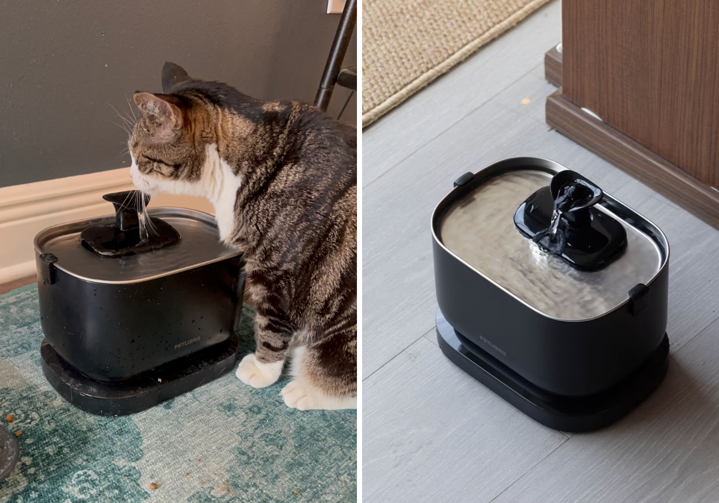 The Best Pet Water Fountains for Cats - Cats & Coffee The Best Pet Water Fountains for Cats