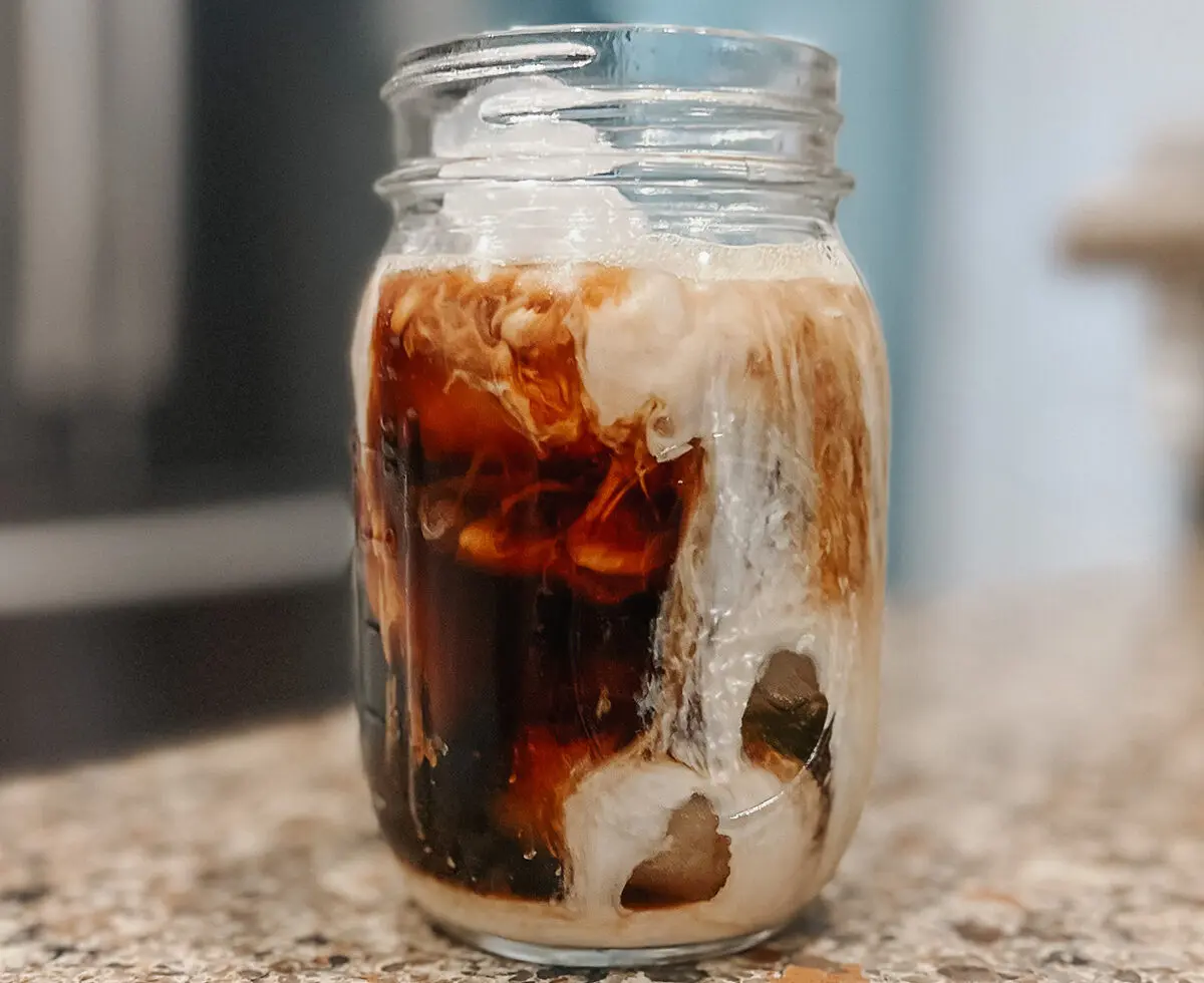 Wandering Bear Cold Brew 1 - Cats & Coffee Wandering Bear Cold Brew