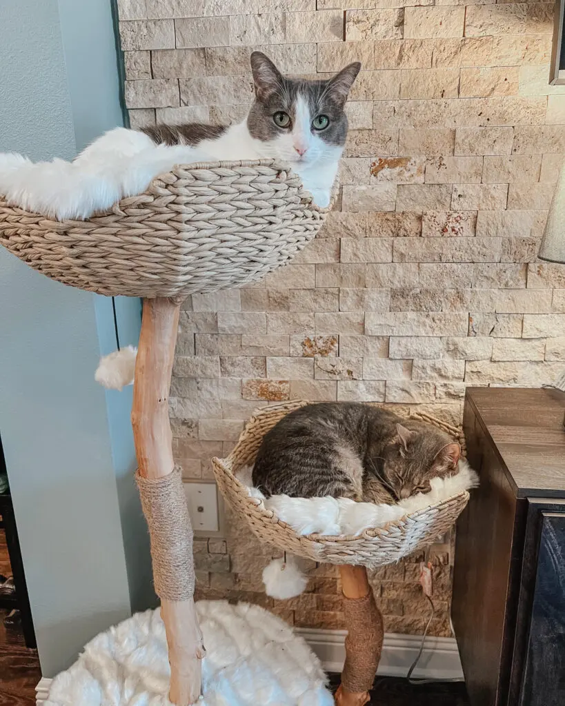 Cento Cat Tree2 - Cats & Coffee