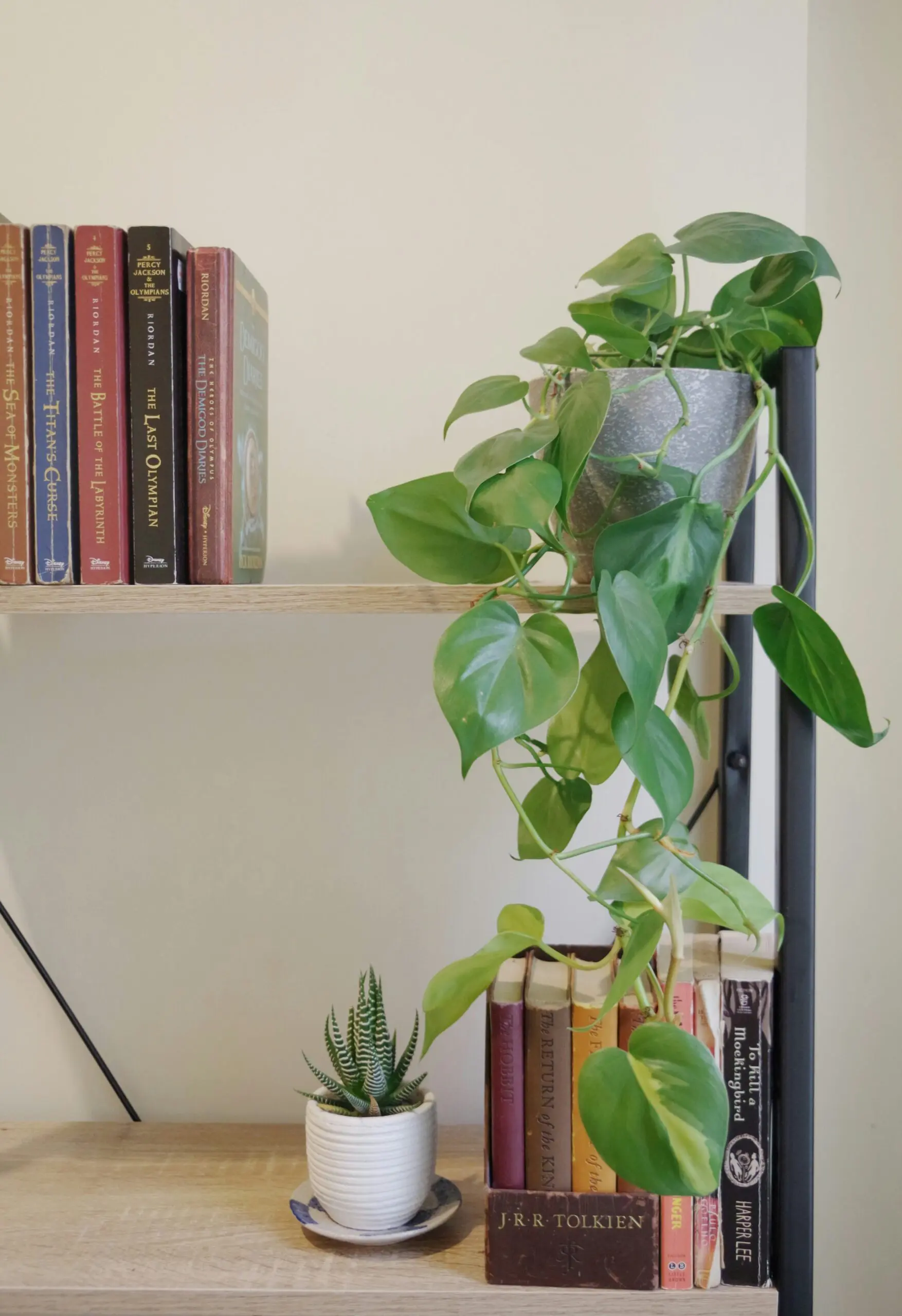 Home Library Room Inspiration - jeanyn-santiano-o4JddHw5jC4-unsplash-min - Cats & Coffee Home Library Room Inspiration