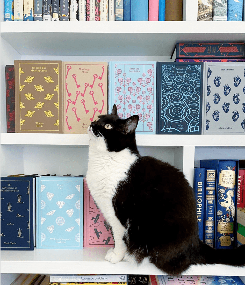Home Library Room Inspriation 9 - Cats & Coffee colorful home library inspiration