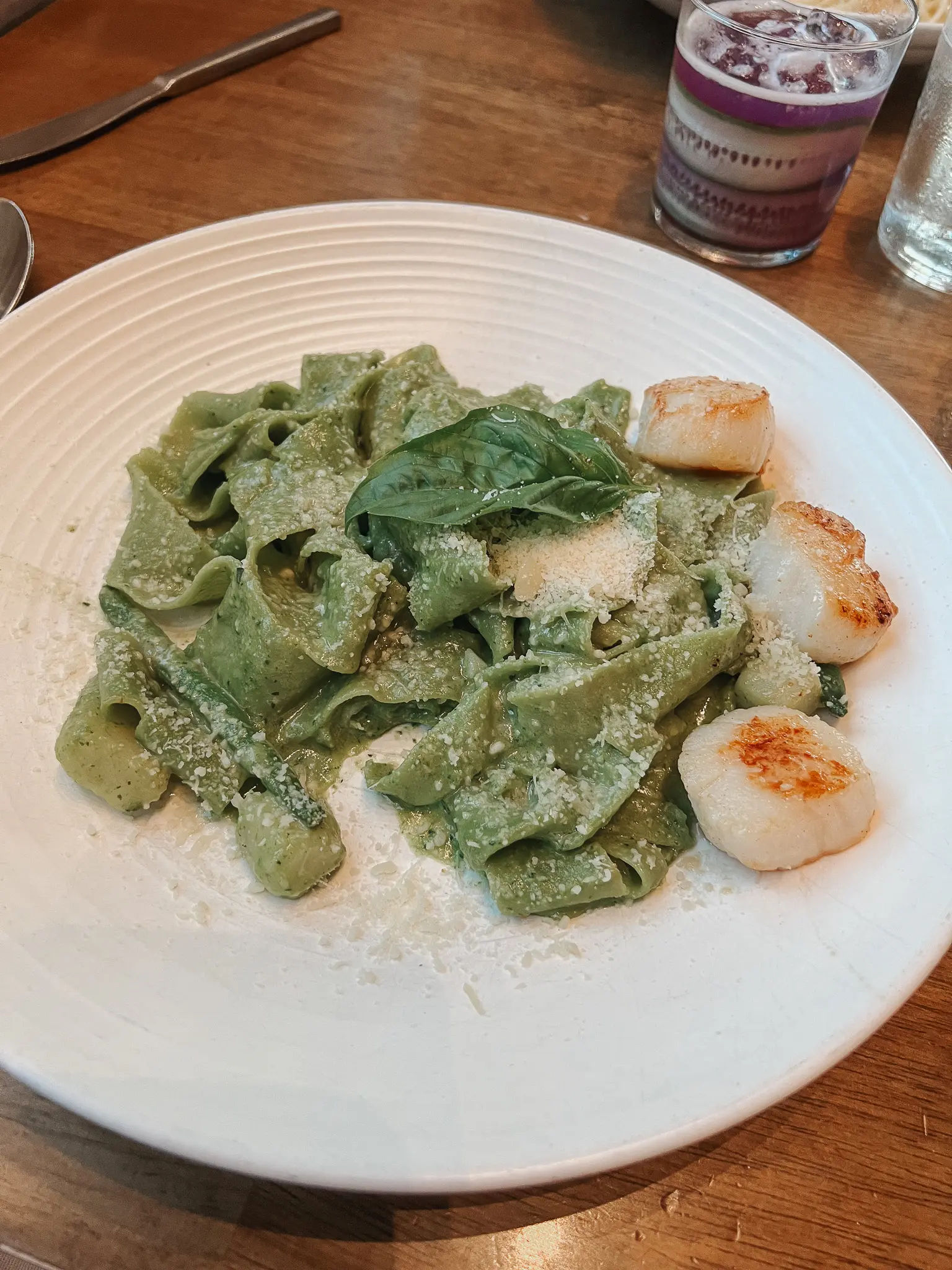 Olivia - Tampa Date Night Restaurants3 - Cats & Coffee Olivia - Tampa Date Night Restaurants