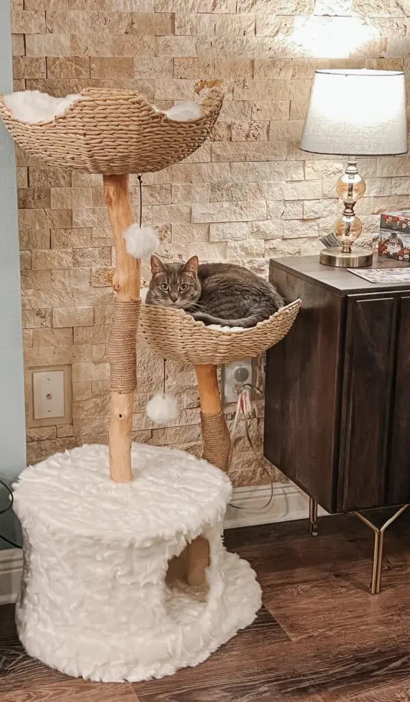 The Cento Cat Tree from Mau Pets 3 - Cats & Coffee