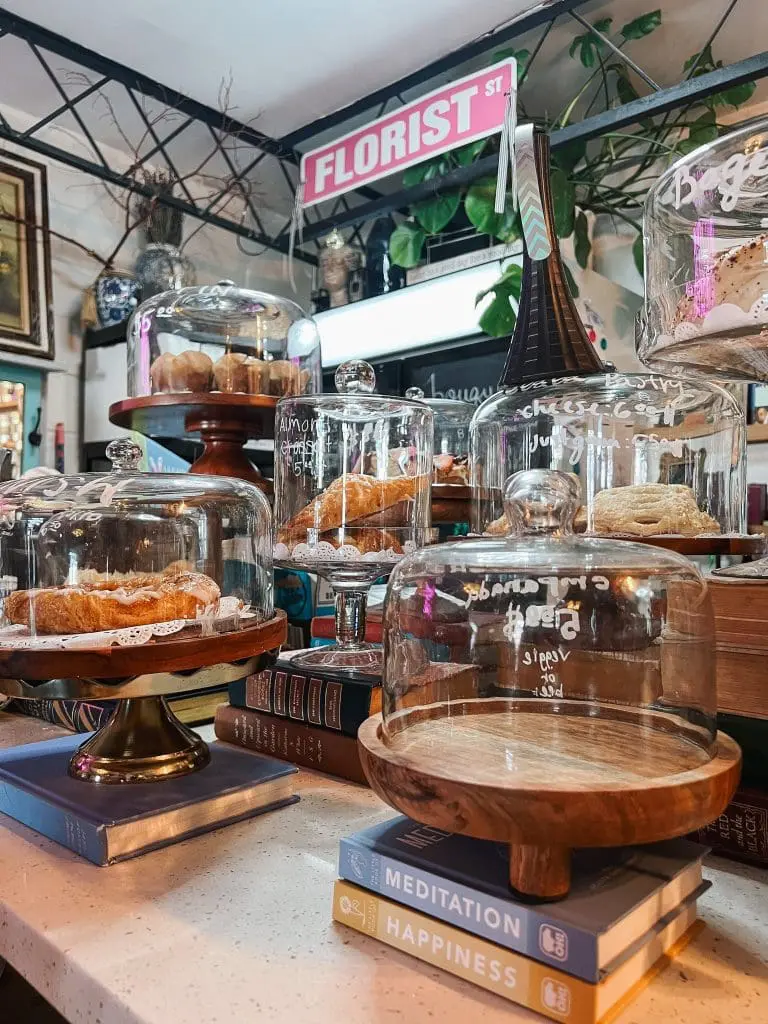 Blooming Floral Cafe Tampa FL 14-min - Cats & Coffee