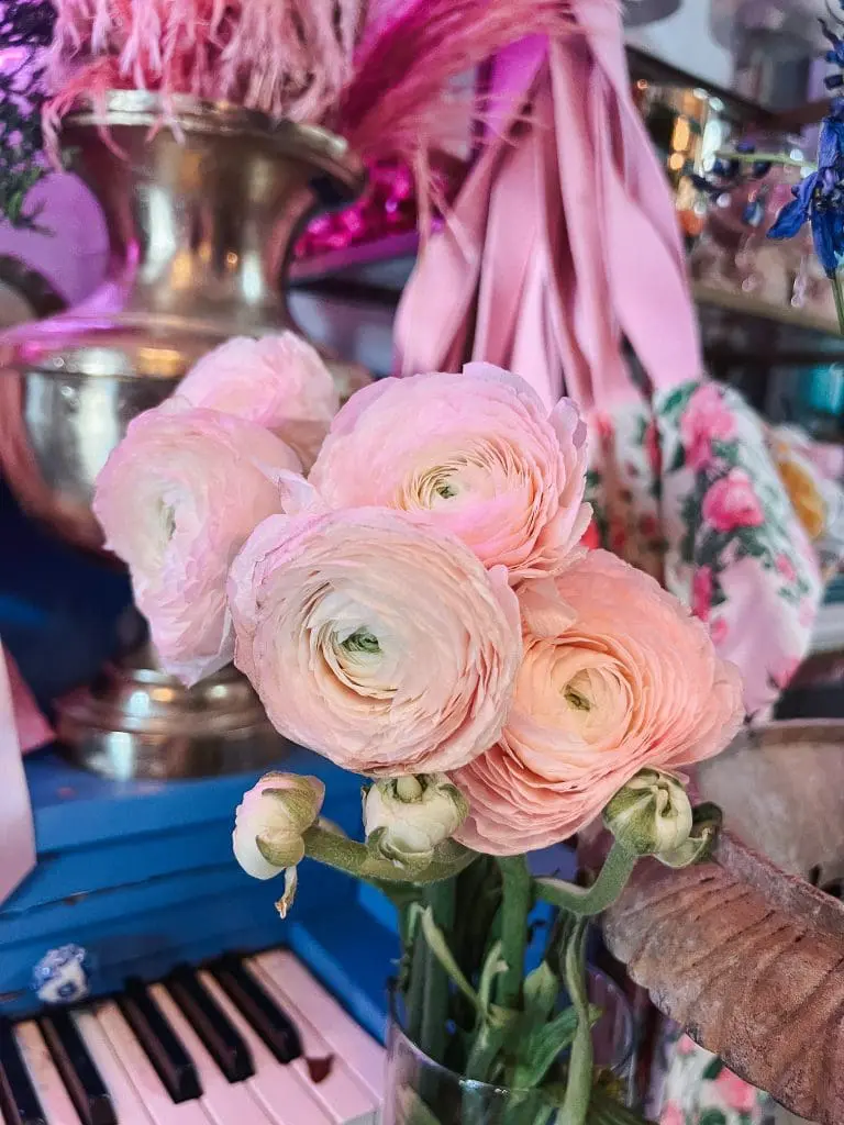 Blooming Floral Cafe Tampa FL 16-min - Cats & Coffee