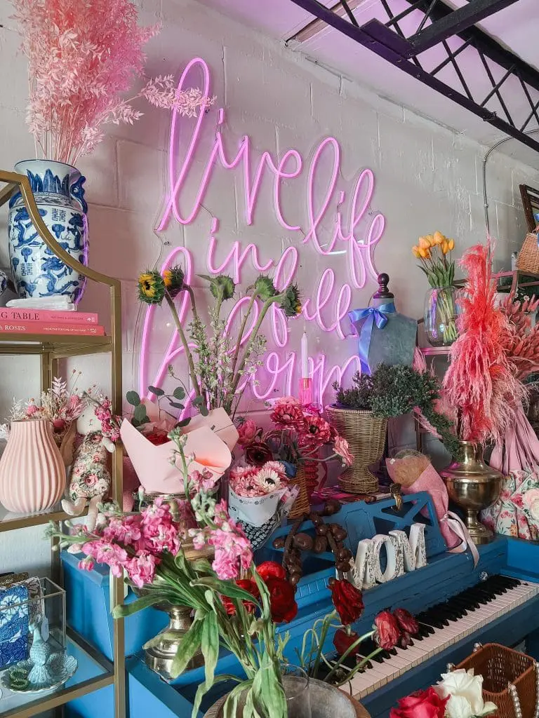Blooming Floral Cafe Tampa FL 5-min - Cats & Coffee