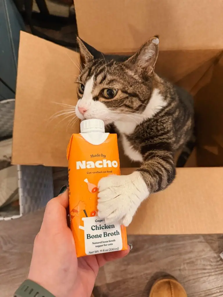Louis Made By Nacho Broth-min - Cats & Coffee Made by Nacho Bone Broths