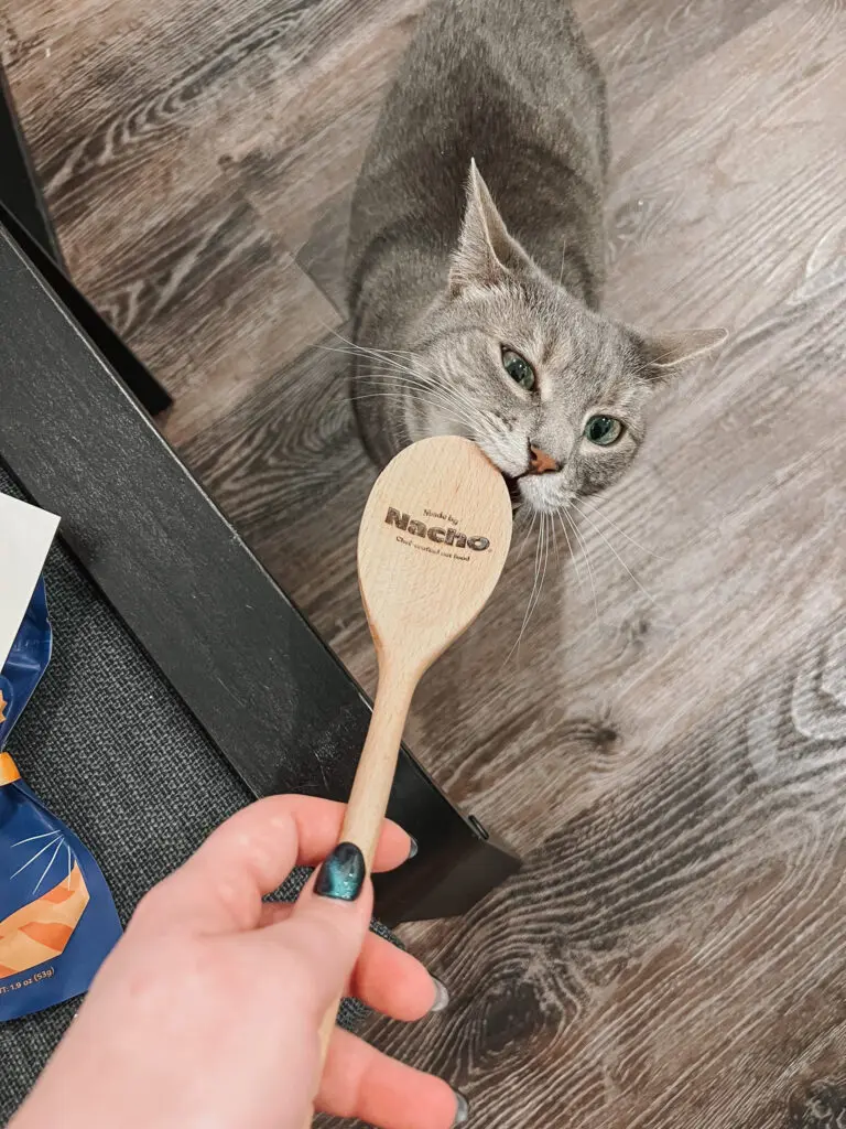 Made by Nacho Cat Food from Bobby Flay 9 - Cats & Coffee Made by Nacho Cat Food from Bobby Flay