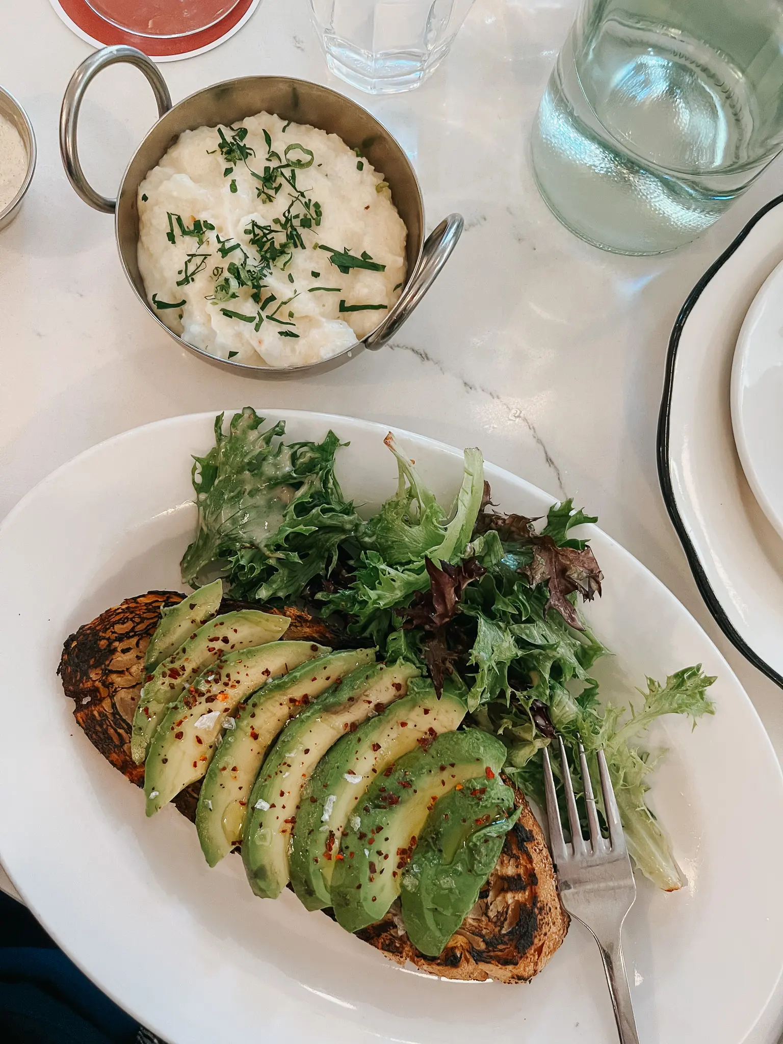 Willa's Restaurant, Tampa Bay Florida 6 - Cats & Coffee The Best Restaurants in Tampa - Willa's Restaurant