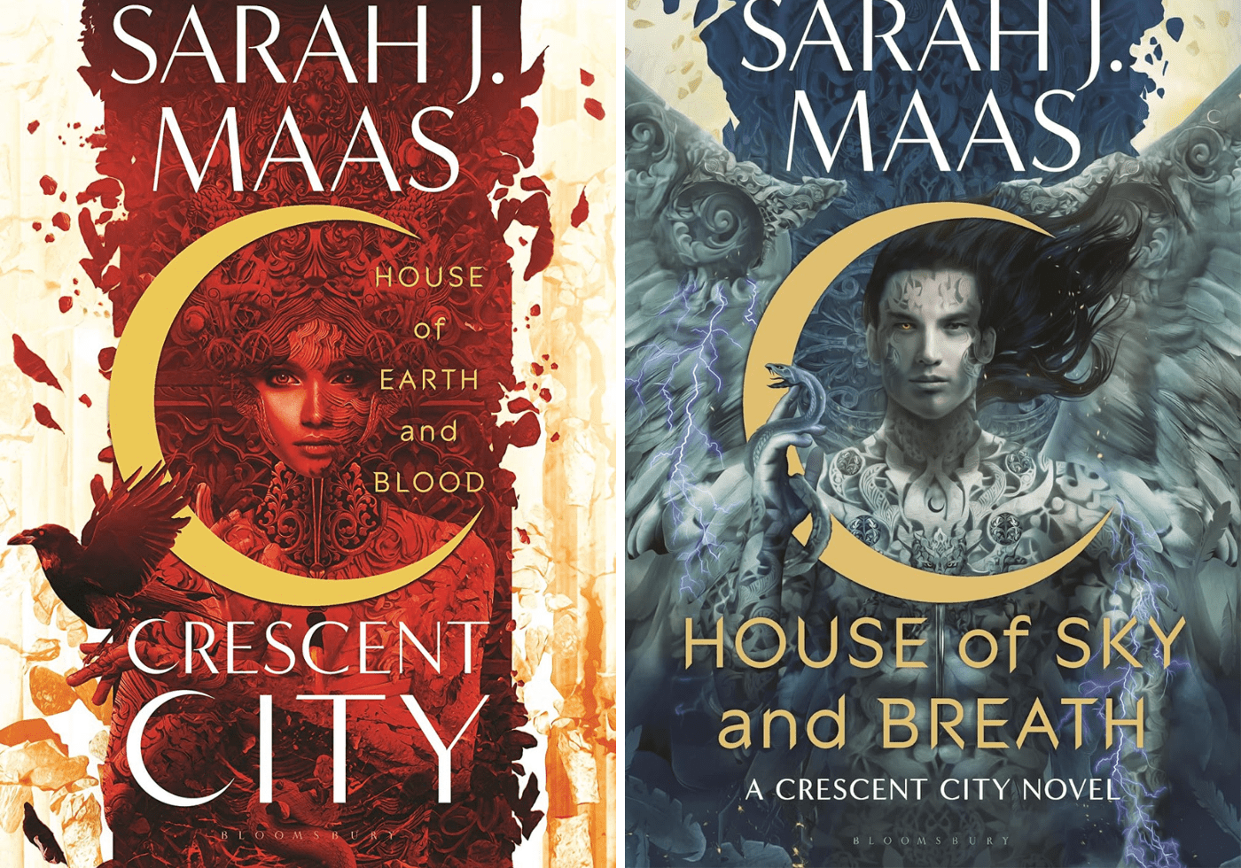 Crescent City Books 1 and 2 - Cats & Coffee Crescent City Books 1 and 2 - Best Books of 2023