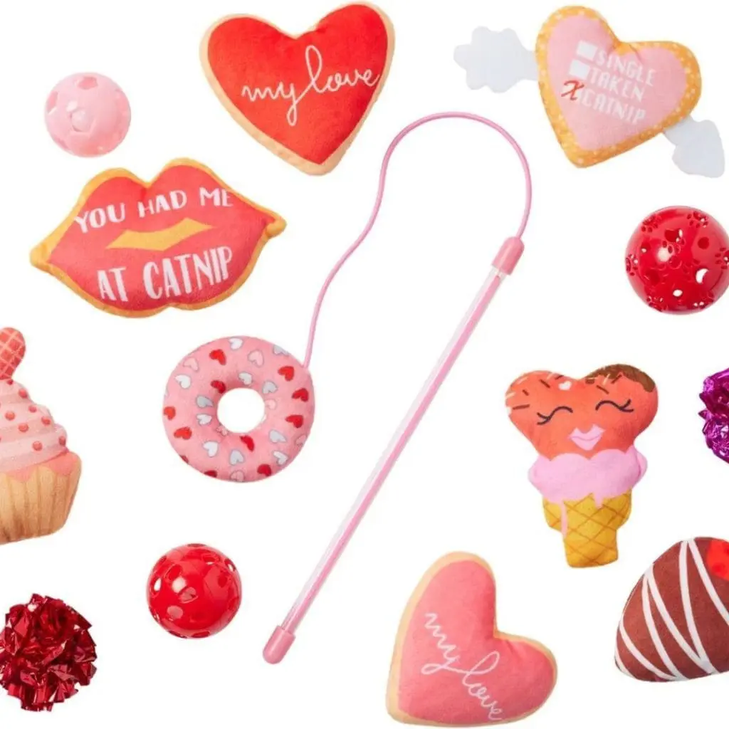 Cat Valentines Day 1 - Cats & Coffee 5 Fun Items to Spoil Your Cat With This Valentine's Day