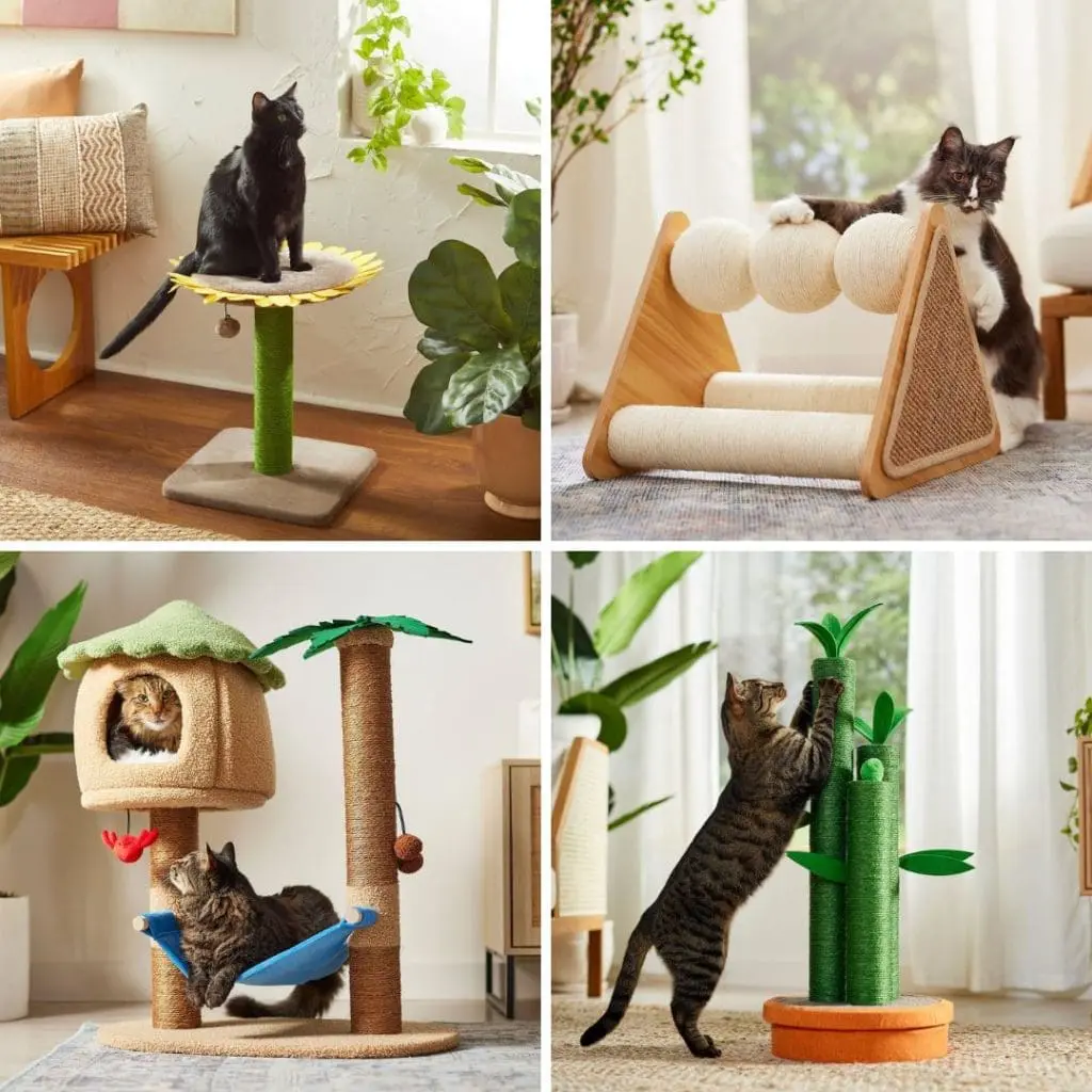 Fun and Colorful Cat Scratcher Posts - Cats & Coffee Fun and Colorful Cat Scratcher Posts