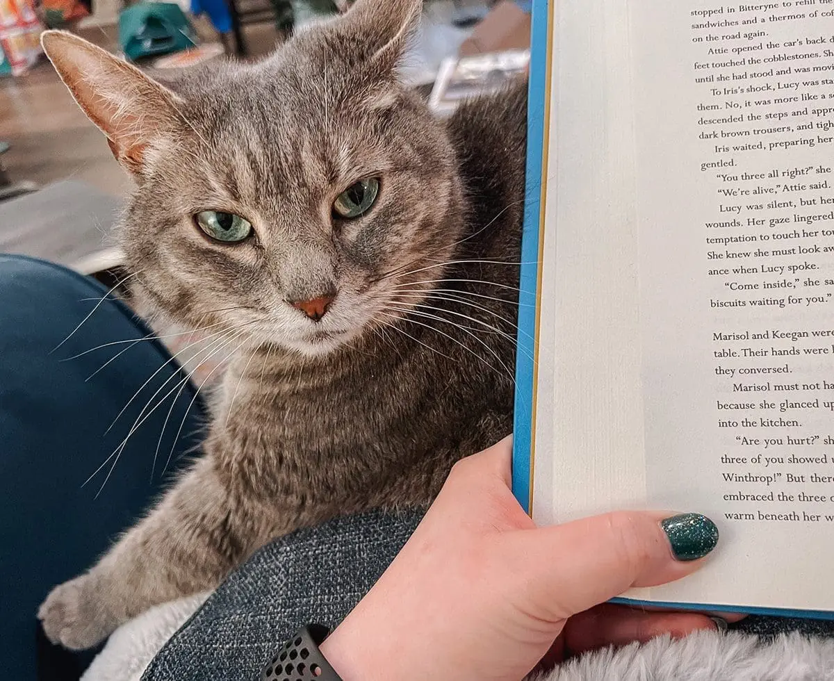 January Reading Journal